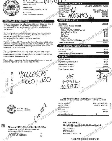 USA CITY OF JACKSON utility bill Word and PDF template